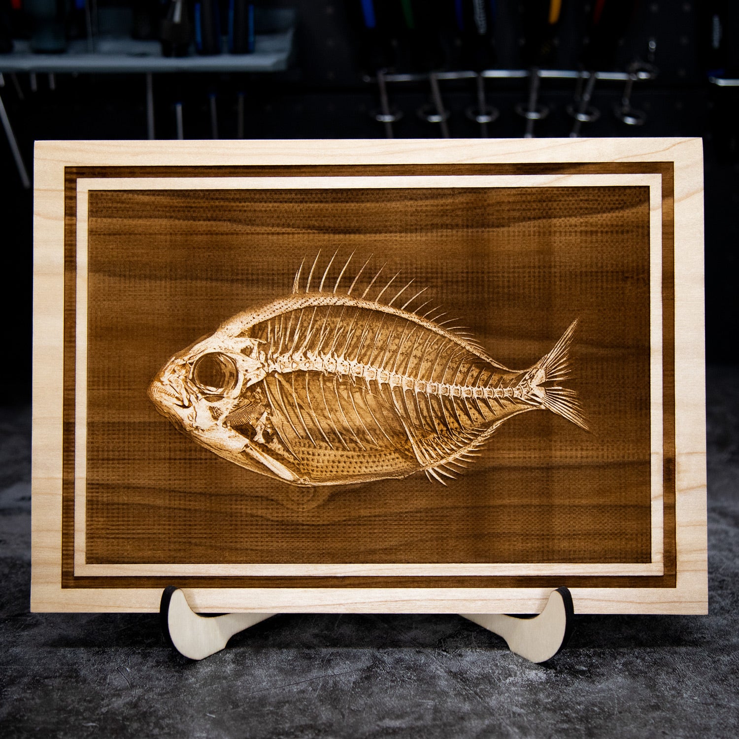 Fish Skeleton Wooden Plaque Artwork